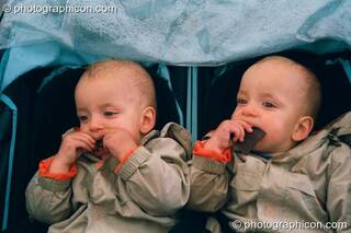Twins in a pram at Glastonbury Festival 2002. Pilton, Great Britain. © 2002 Photographicon