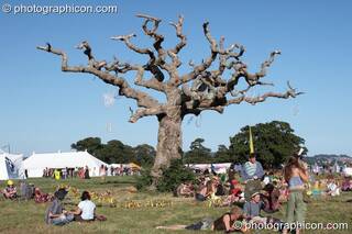People chilling around a decorated dead tree in the middle of the main arena at Waveform Project 2007. Kenton, Exeter, Great Britain. © 2007 Photographicon