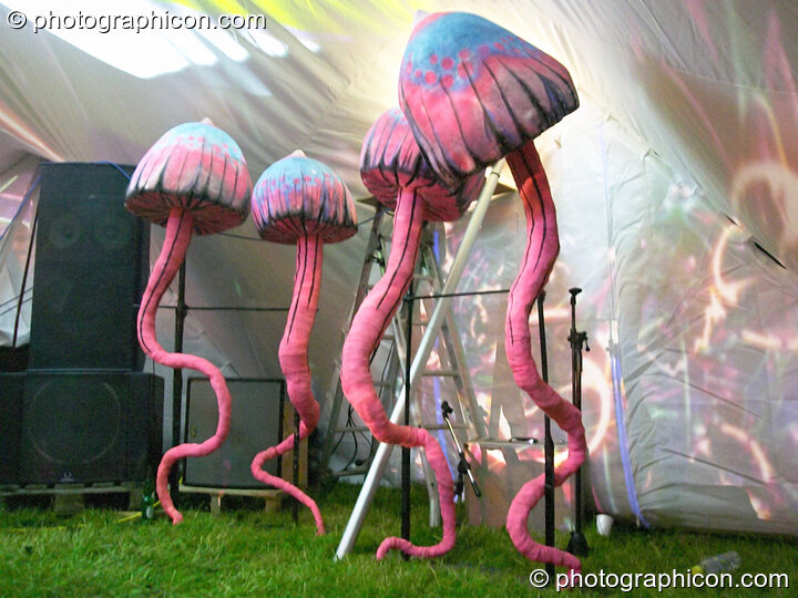 Mushroom decor in the chillout tent at Wing Makers Solstice 2005. Launceston, Great Britain. © 2005 Photographicon