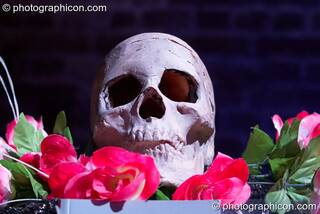 A skull on the ritual shrine at The Halloween of the Cross Bones XIII. London, Great Britain. © 2010 Photographicon