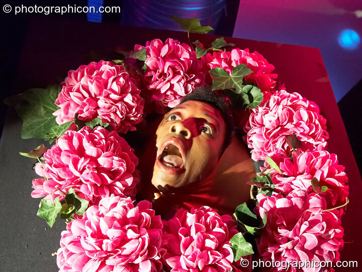 Dre performs with her elastic face in a bed of flowers on the Binglybongly stage at The Synergy Project. London, Great Britain. © 2006 Photographicon