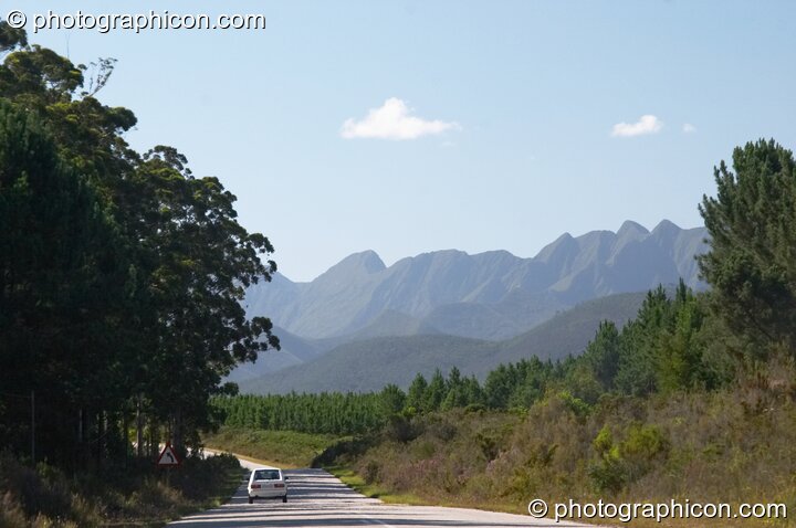 View of mountain range between trees on the road somewhere in Western Cape, South Africa. © 2005 Photographicon