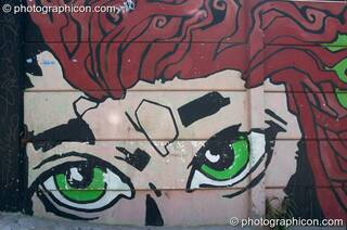 Mural of a face on a wall in Observatory, Cape Town - Western Cape, South Africa. © 2005 Photographicon