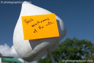 Mushroom decor outside the idSpiral cafe at Glastonbury Festival 2004. Pilton, United Kingdom. © 2004 Photographicon
