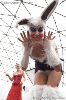 Bunny girls on stilts in the idSpiral dome at Sunrise Celebration 2006. Yeovil, United Kingdom. © 2006 Photographicon