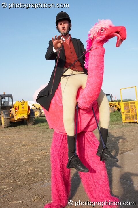 A man on stilits rides a pink camel at Sunrise Celebration 2007. Yeovil, United Kingdom. © 2007 Photographicon
