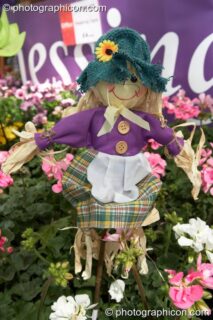 A rag doll amongst the flowers on Chessington Garden Centre's stall at Kingston Green Fair 2006. Kingston upon Thames, United Kingdom. © 2006 Photographicon