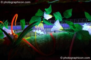 Fluro plastic flowers under UV light in the Art Nation decor at the Synergy Project. London, United Kingdom. © 2004 Photographicon