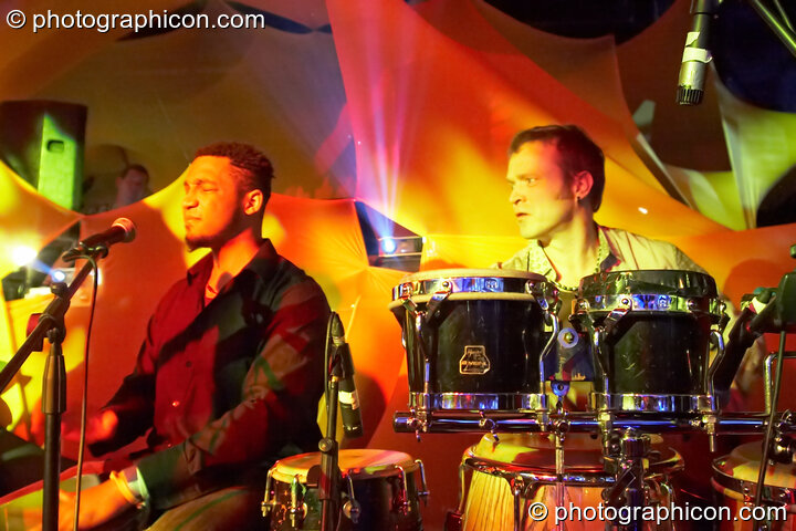 Peyoti for President (Sordid Soup Records) perform on the Bingly Bongly stage with decor by ID Lite at The Synergy Project. London, United Kingdom. © 2008 Photographicon