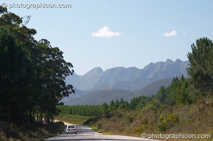 View of mountain range between trees on the road somewhere in Western Cape, South Africa. South Africa. © 2005 Photographicon