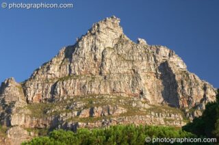 Table Mountain, Cape Town - Western Cape, South Africa. Cape Town, South Africa. © 2005 Photographicon